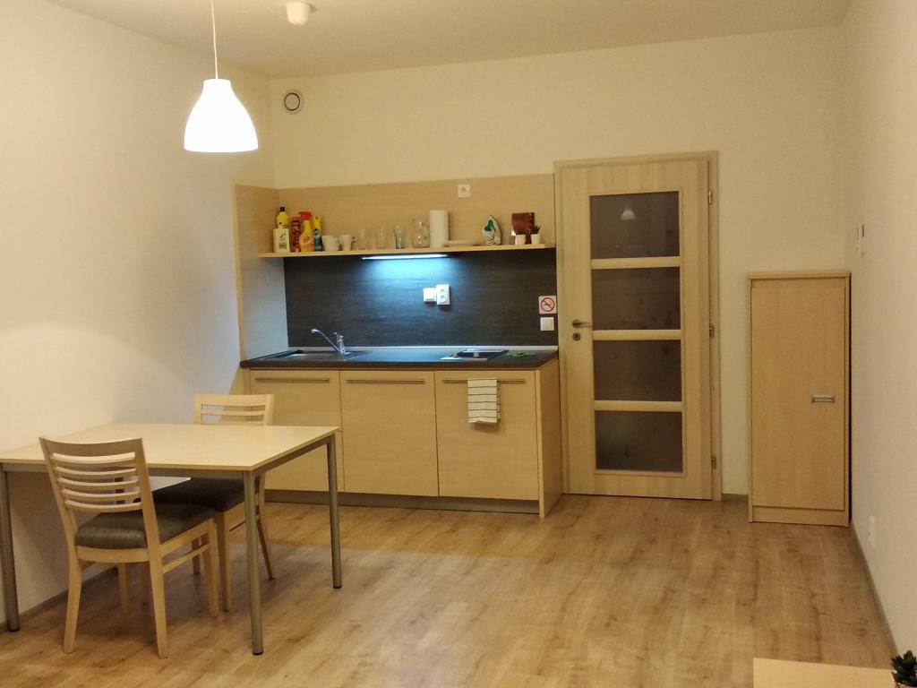Pronájem bytu 1+kk 33 m2