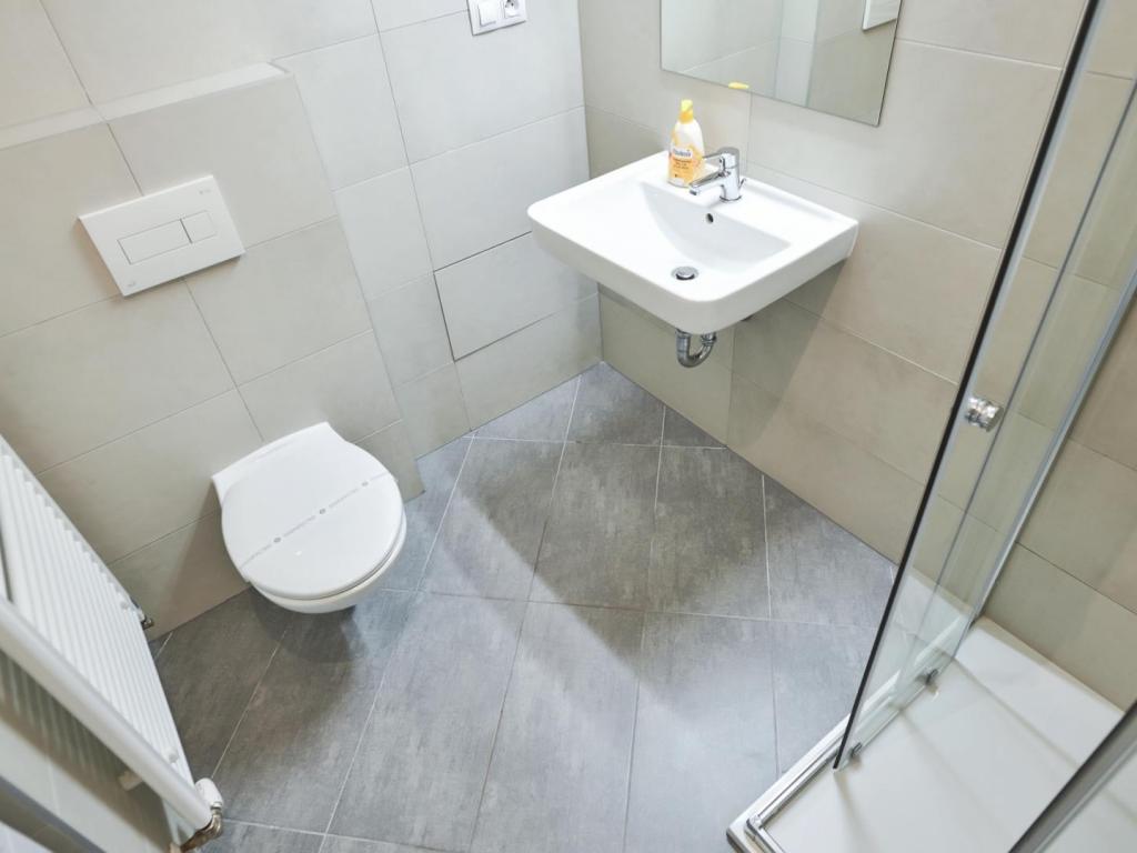 Pronajem bytu 2+1 50 m2