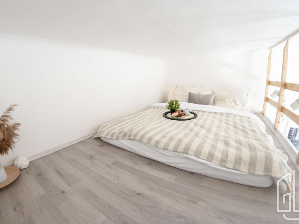 Pronájem bytu 1+1 28 m2
