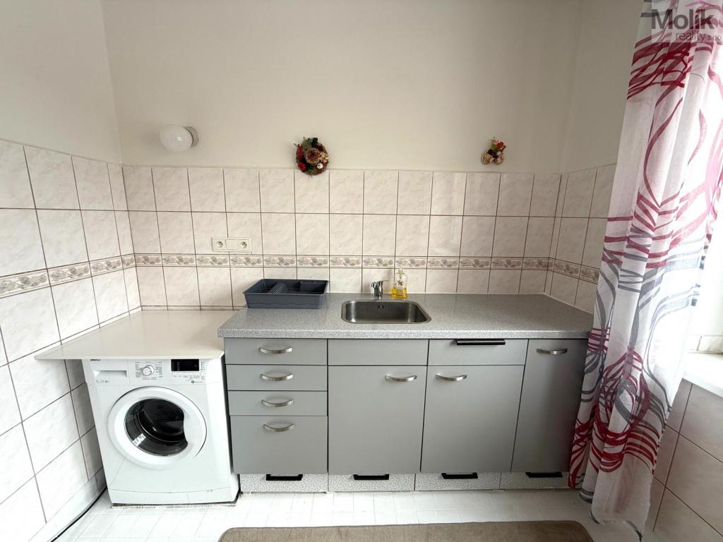 Pronájem bytu 1+1 39 m2