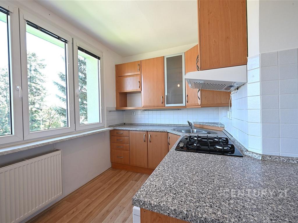 Pronájem bytu 3+1 76 m2