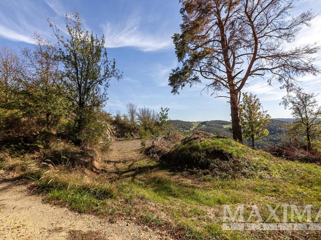Prodej pozemku 7462 m2, Solenice – náhled fotky 6