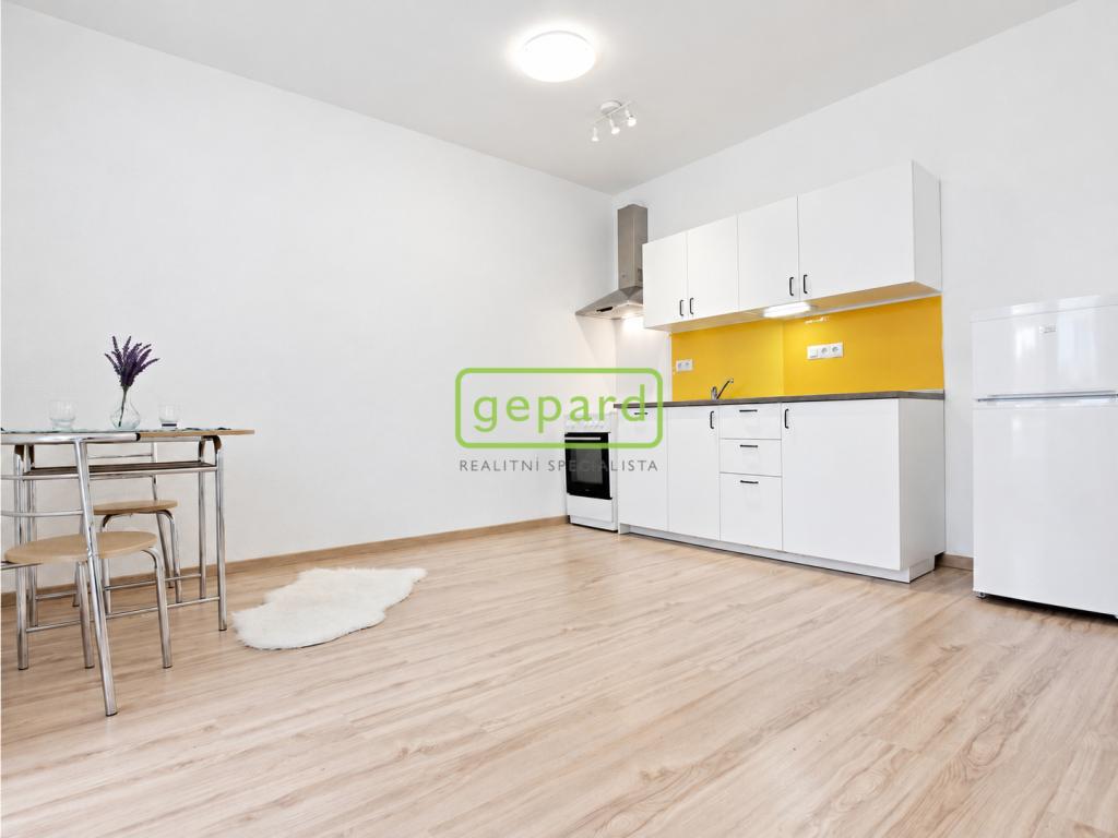 Pronájem bytu 1+kk 33 m2