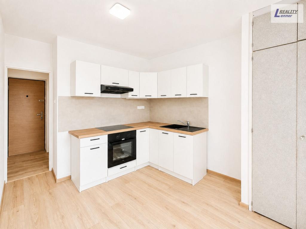 Pronájem bytu 1+1 43 m2