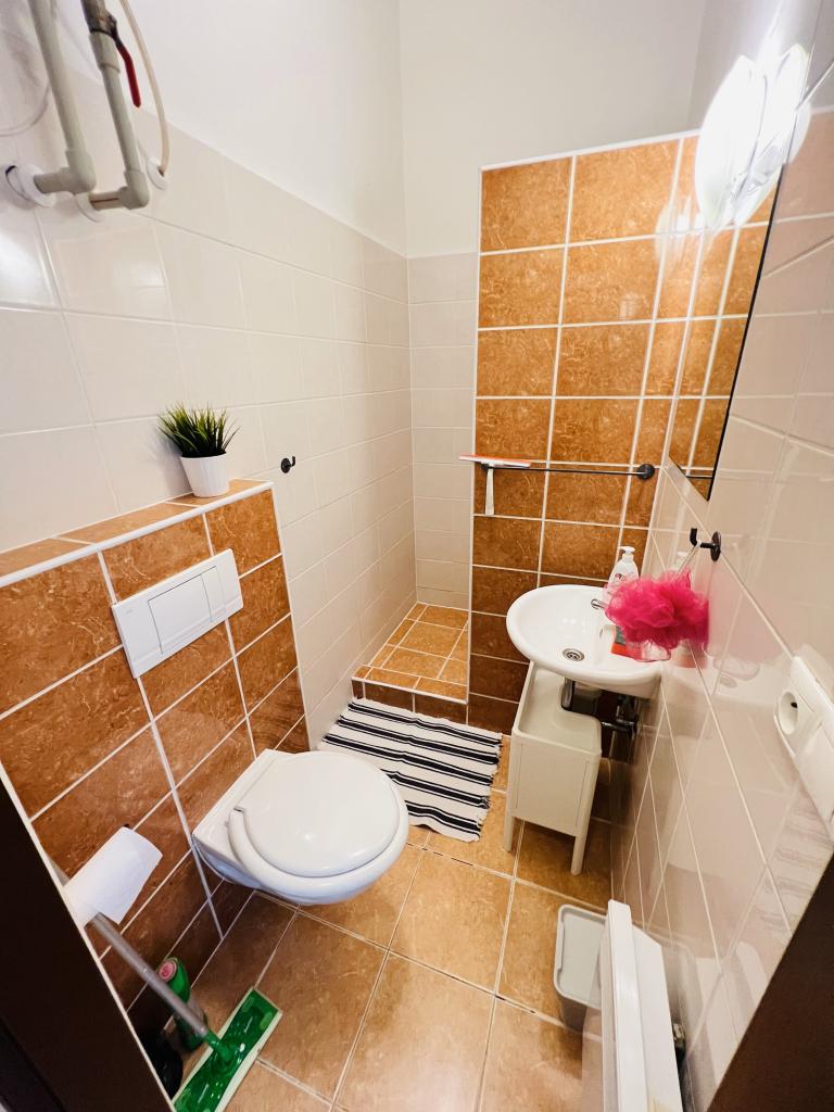 Pronájem bytu 1+kk 25 m2