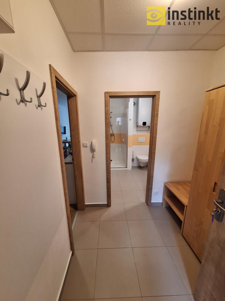 Pronájem bytu 1+kk 35 m2