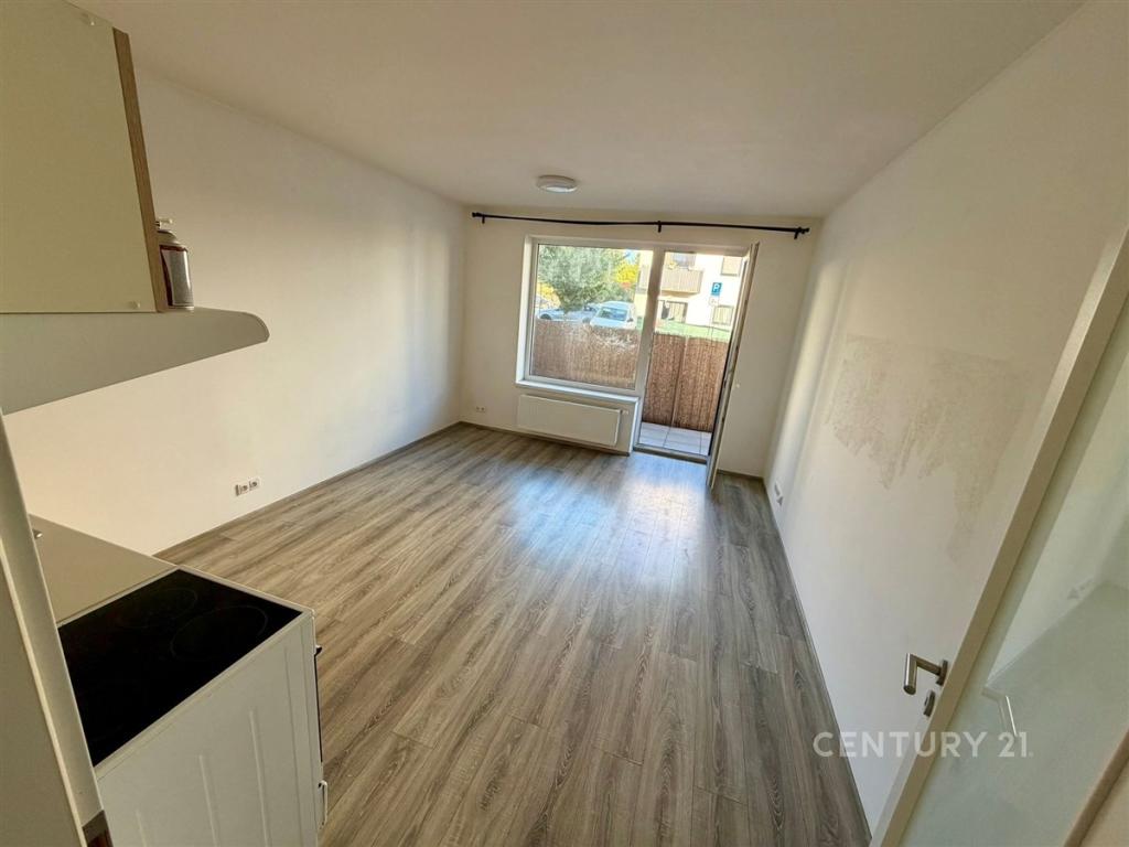 Pronájem bytu 1+kk 33 m2