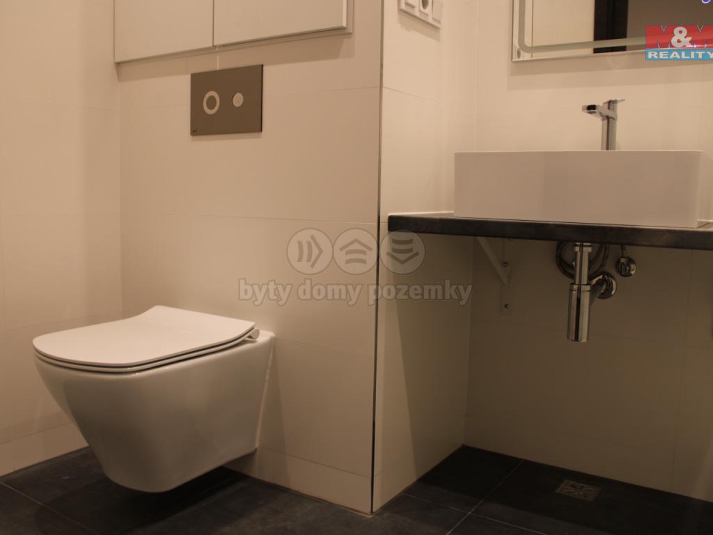 Pronajem bytu 2+1 54 m2