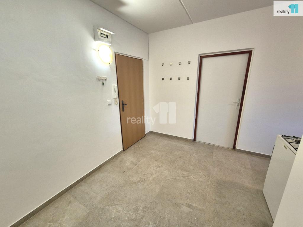 Pronájem bytu 2+1 55 m2