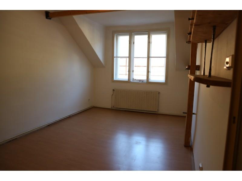Pronajem bytu 2+1 45 m2
