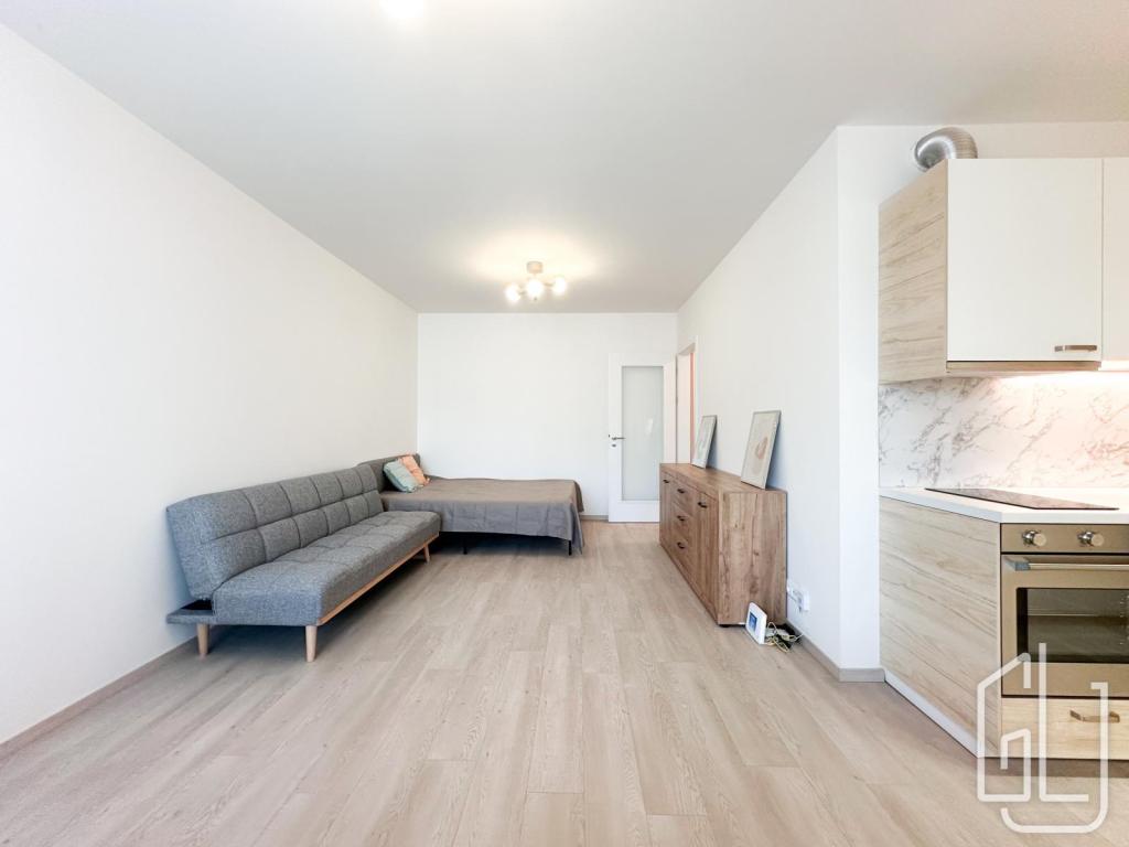 Pronájem bytu 1+kk 39 m2