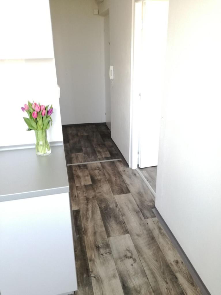 Pronájem bytu 2+1 50 m2