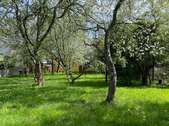 Pronájem bytu 2+1 90 m2, Frýdek-Místek – náhled fotky 13