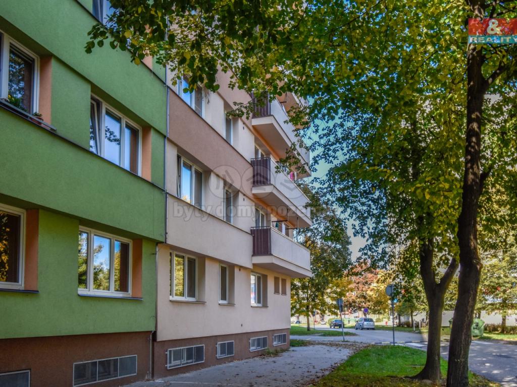 Pronajem bytu 2+1 46 m2