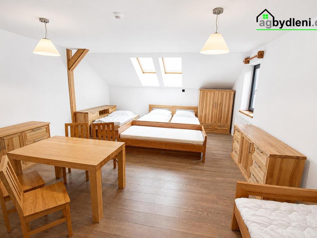 Pronájem bytu 1+kk 42 m2