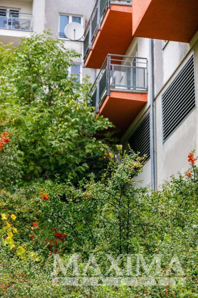 Prodej bytu 1+kk 36 m2, Praha – náhled fotky 4
