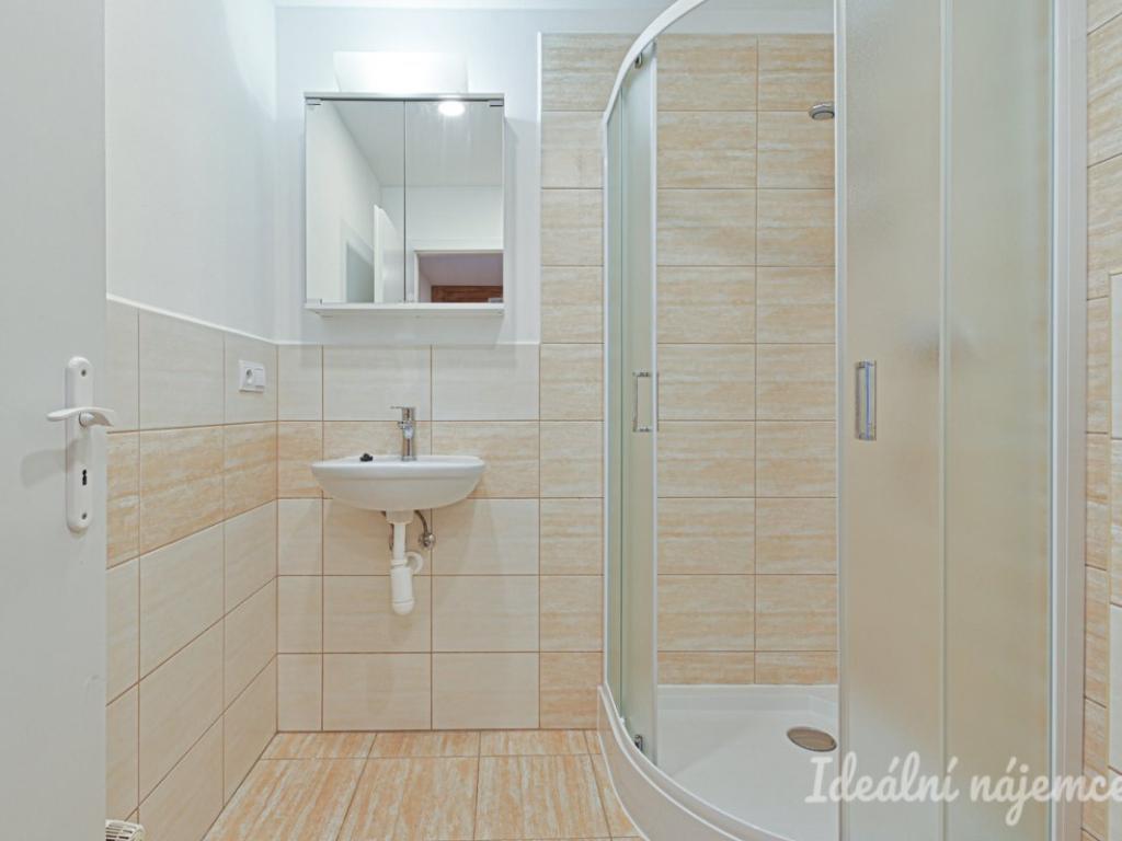 Pronájem bytu 1+kk 25 m2, Brno – náhled fotky 8