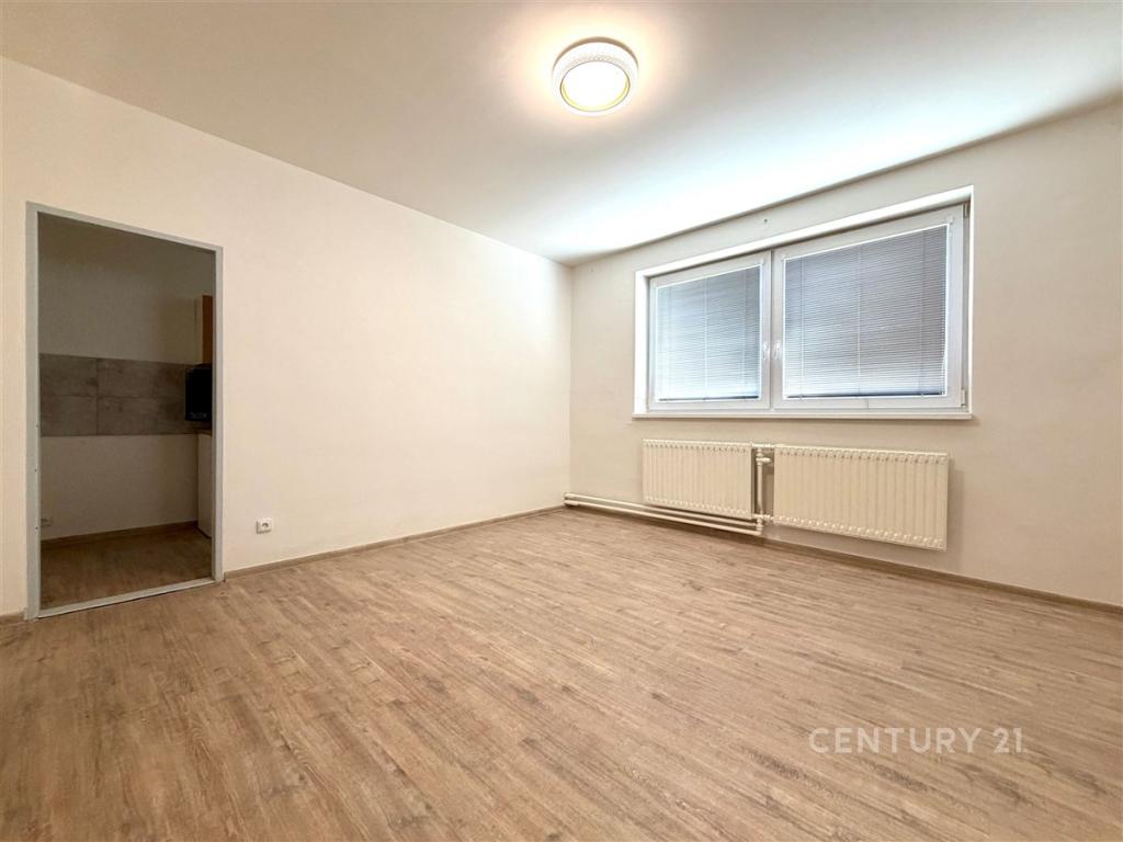 Pronájem bytu 2+1 53 m2