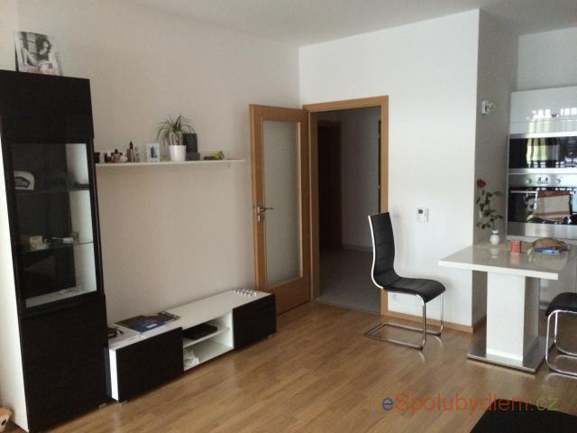 Spolubydleni bytu 1 lůžko 55 m2