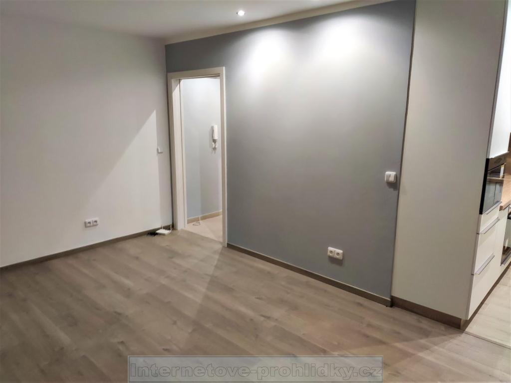 Pronájem bytu 1+kk 38 m2