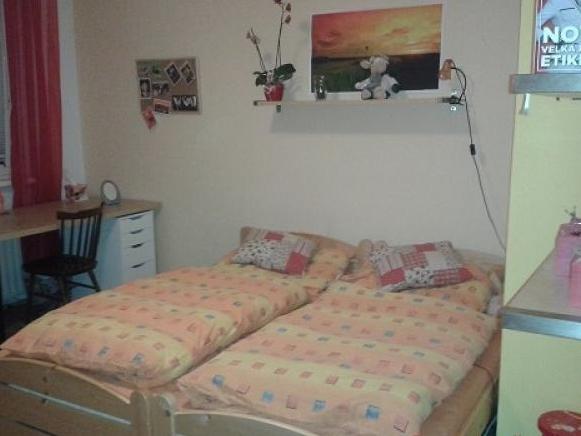 Pronájem atypicky, Olomouc - Trnková, 6500 Kč, 16