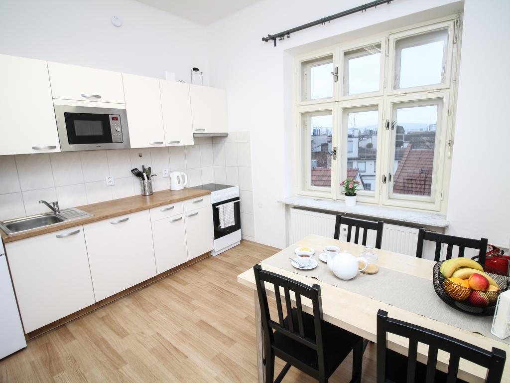 Pronajem bytu 2+1 60 m2