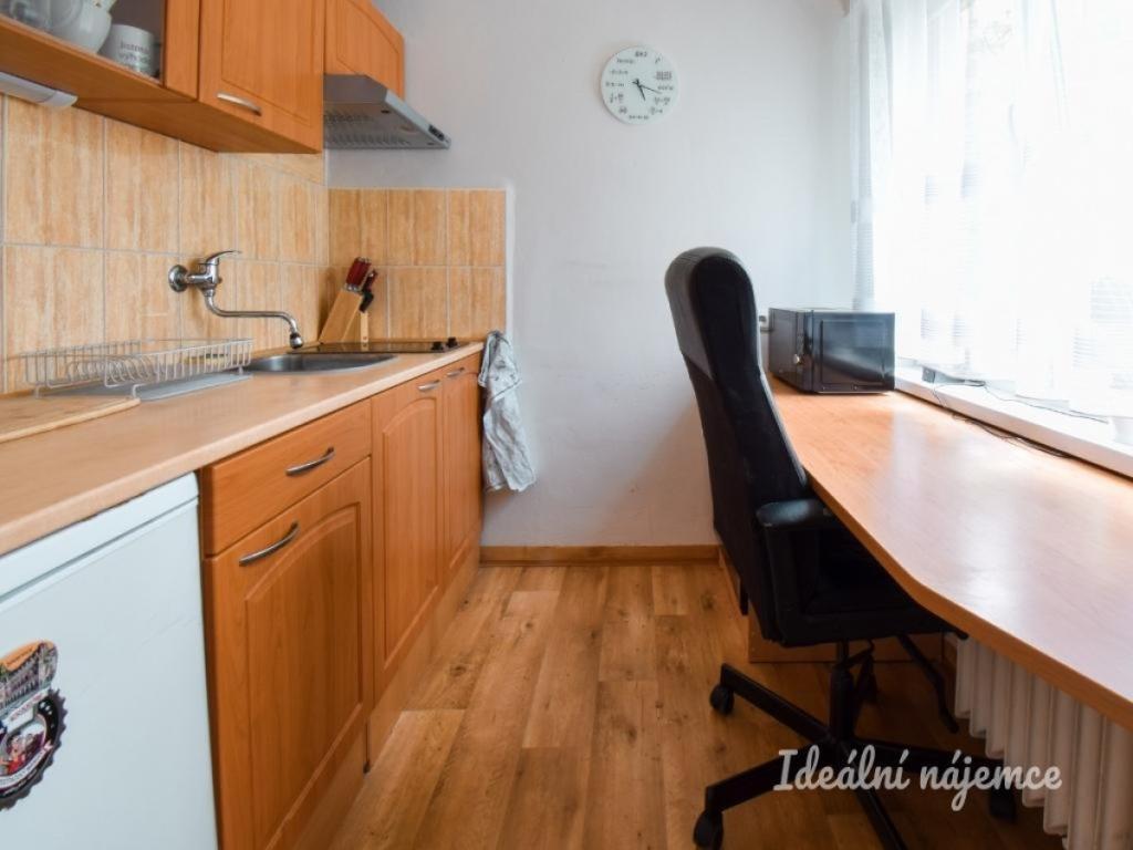 Pronájem bytu 1+1 25 m2
