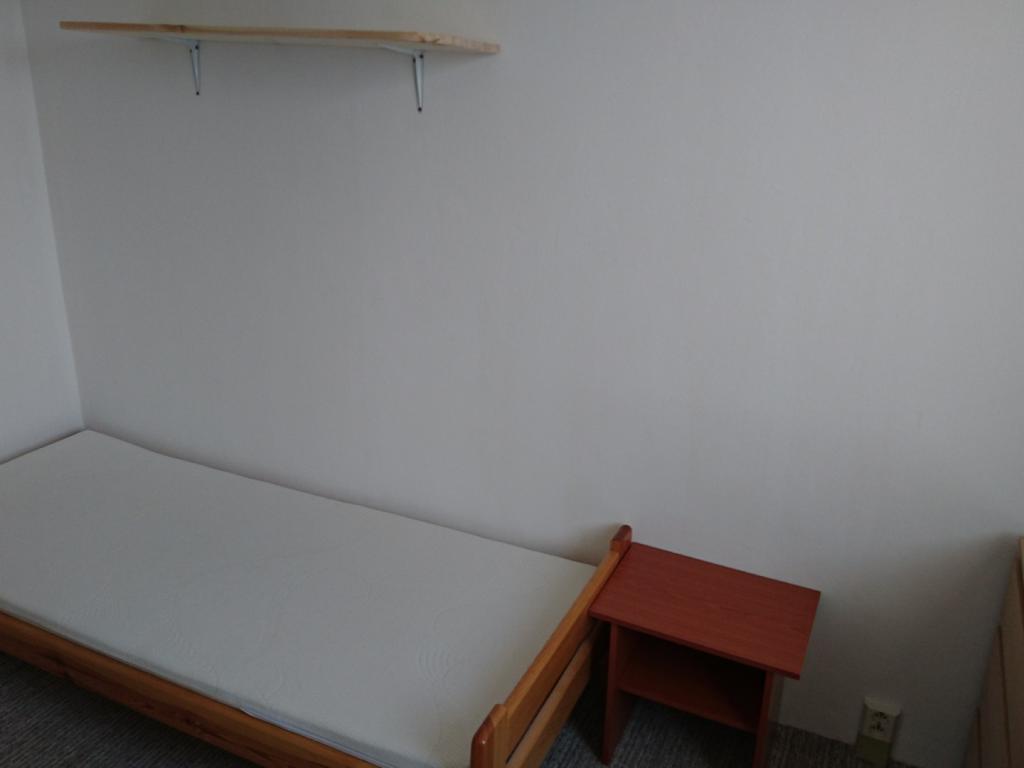 Spolubydleni bytu celý pokoj 8 m2