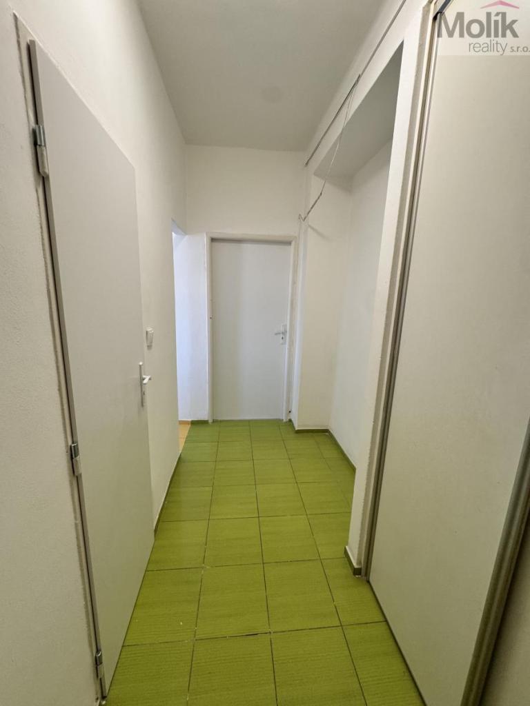 Pronájem bytu 2+1 54 m² – pohled 6