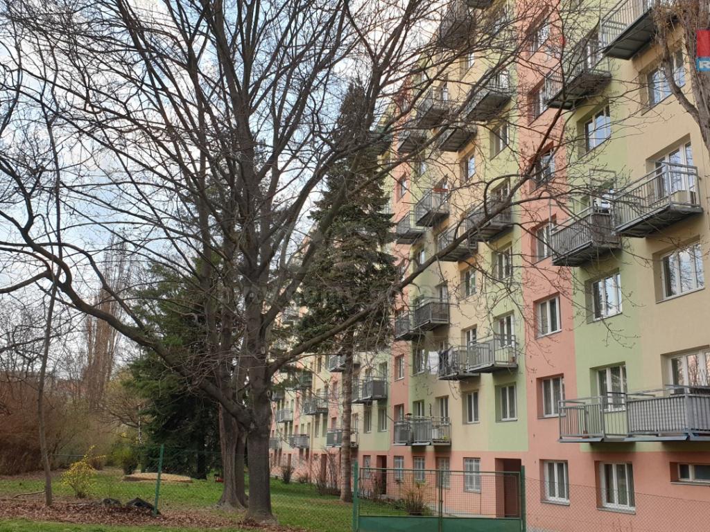 Pronajem bytu 2+1 58 m2