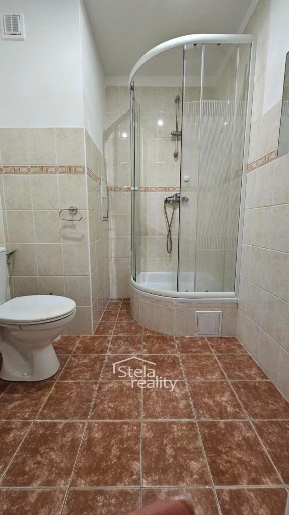 Pronájem bytu 2+1 44 m2