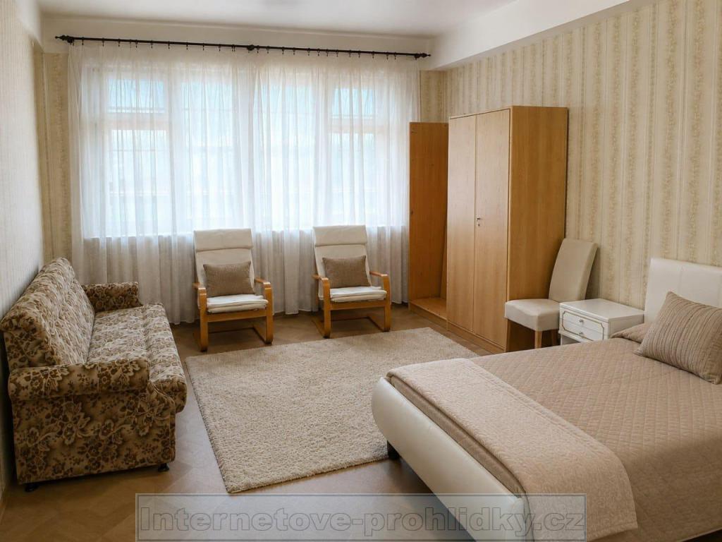 Pronájem bytu pokoj 28 m² - Ansicht 4