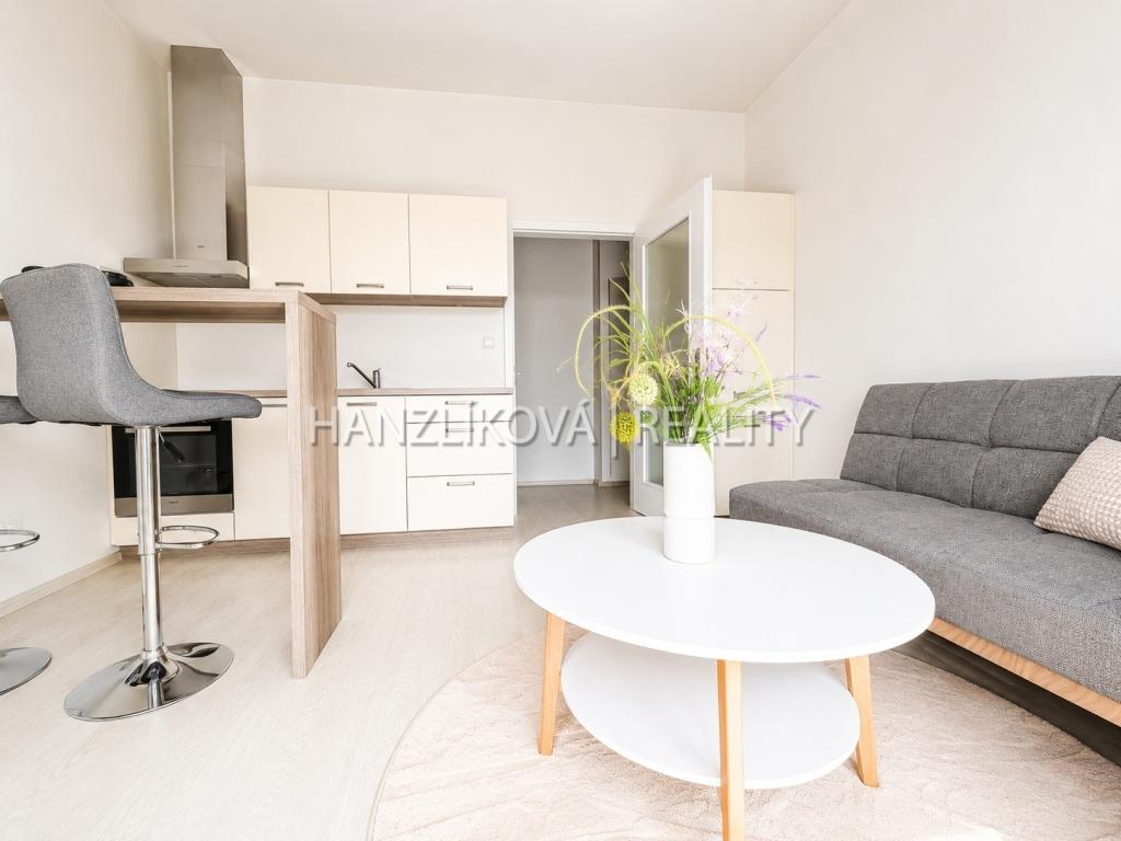 Prodej bytu 2+kk 40 m2, České Budějovice – náhled fotky 2