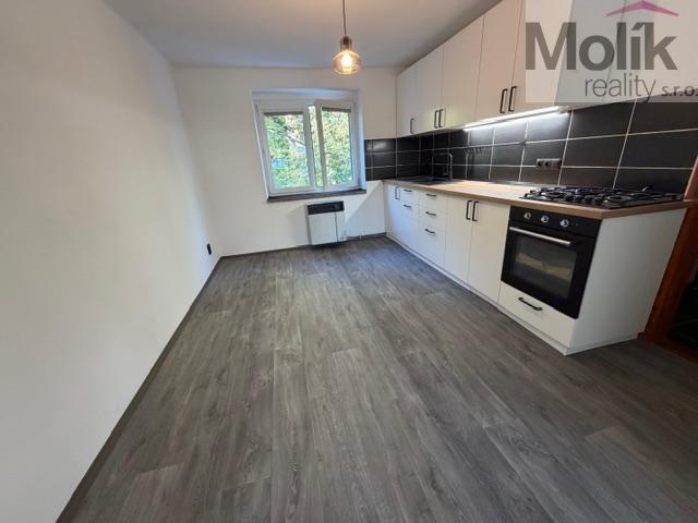 Pronájem bytu 2+1 54 m2