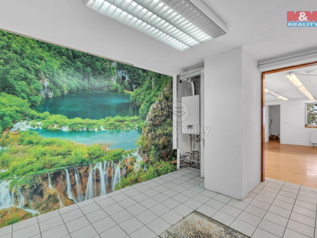 Pronajem bytu dům 306 m2