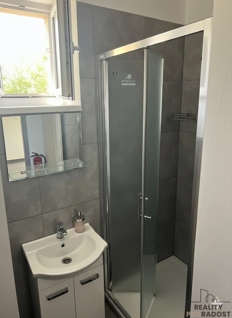 Pronájem bytu 1+1 39 m2