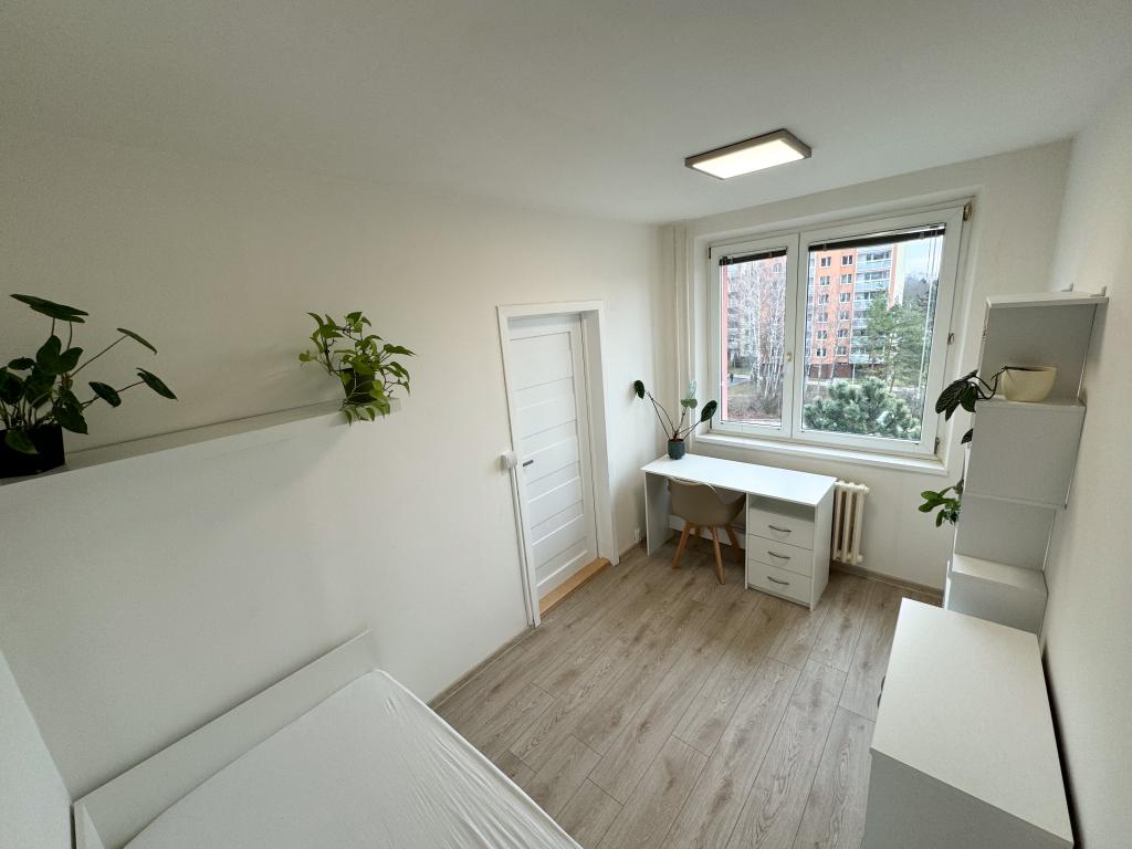 Pronajem bytu 4+kk 15 m2