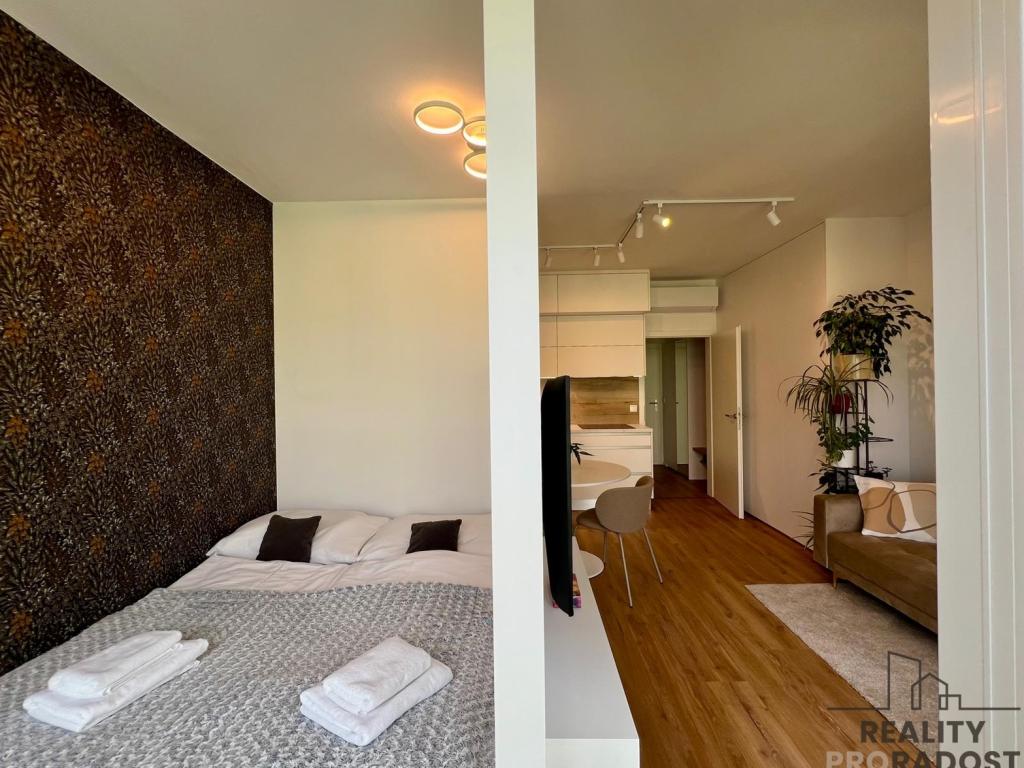 Pronájem bytu 1+kk 42 m2