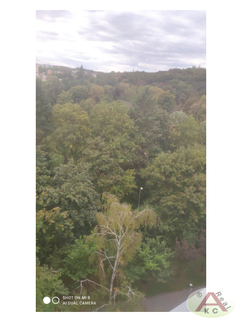Pronájem bytu 2+kk 45 m2, Praha – náhled fotky 10