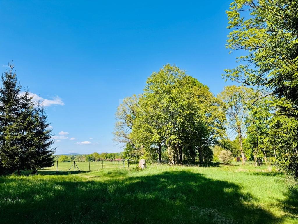 Prodej pozemku 3100 m2, Tři Sekery – náhled fotky 15