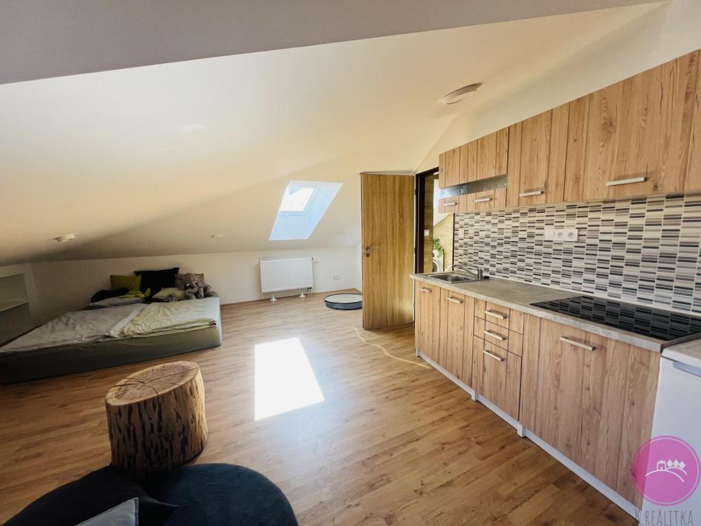 Pronájem bytu 1+kk 40 m2