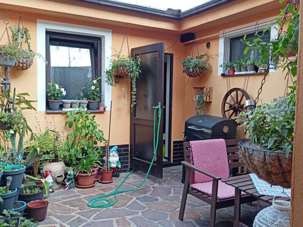 Pronajem bytu 2+kk 65 m2