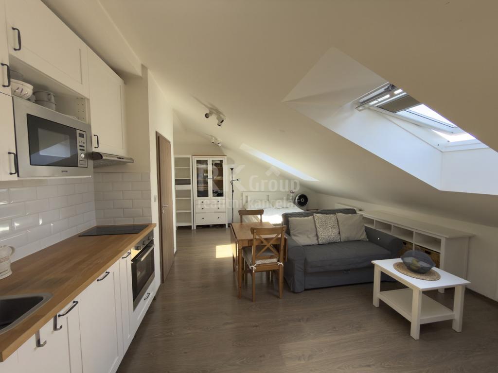 Pronájem bytu 1+kk 40 m2