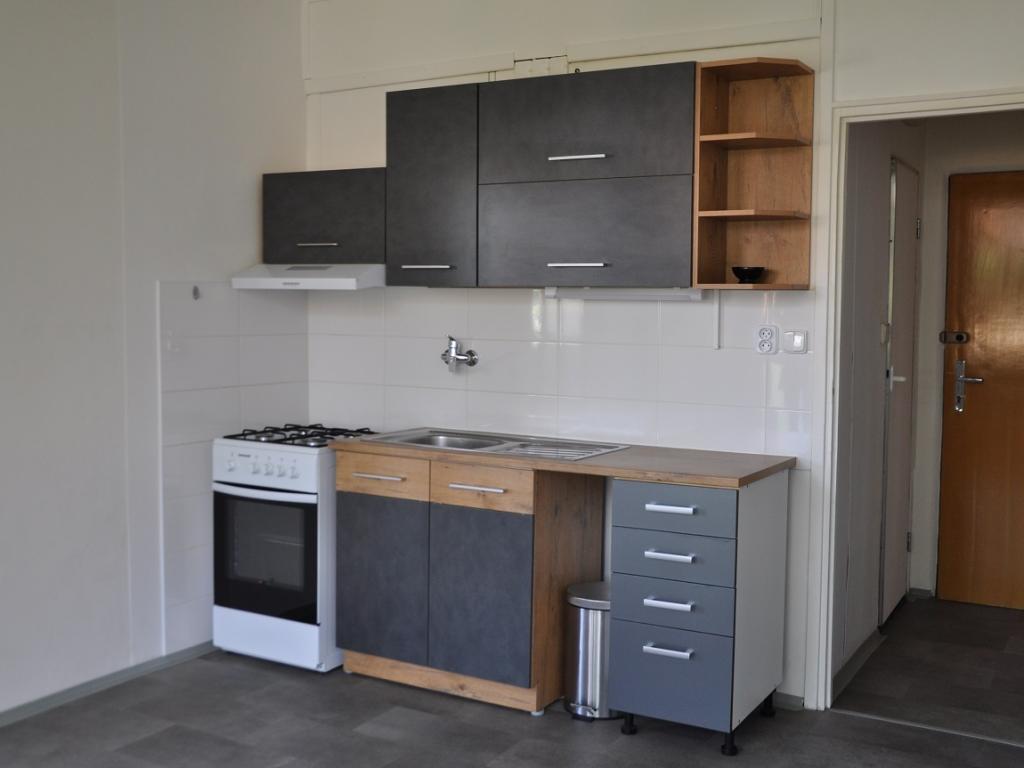 Pronájem bytu 1+1 42 m2