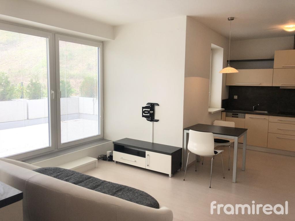 Pronájem bytu 1+kk 42 m2