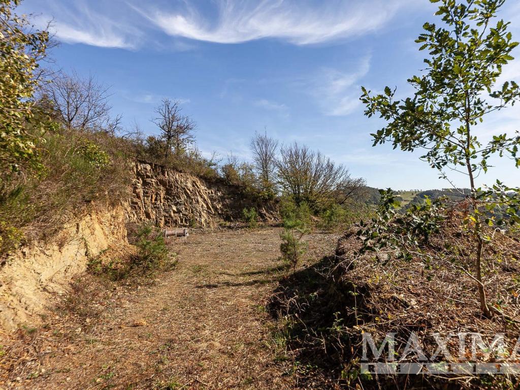 Prodej pozemku 7462 m2, Solenice – náhled fotky 16