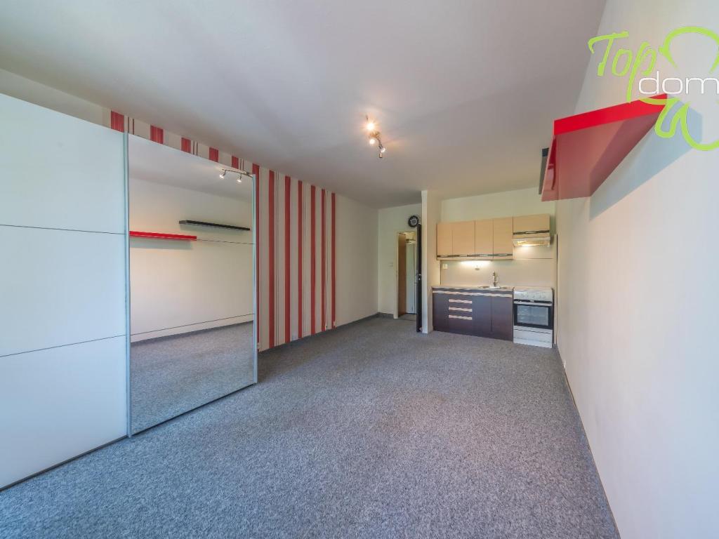 Pronájem bytu 1+kk 30 m2