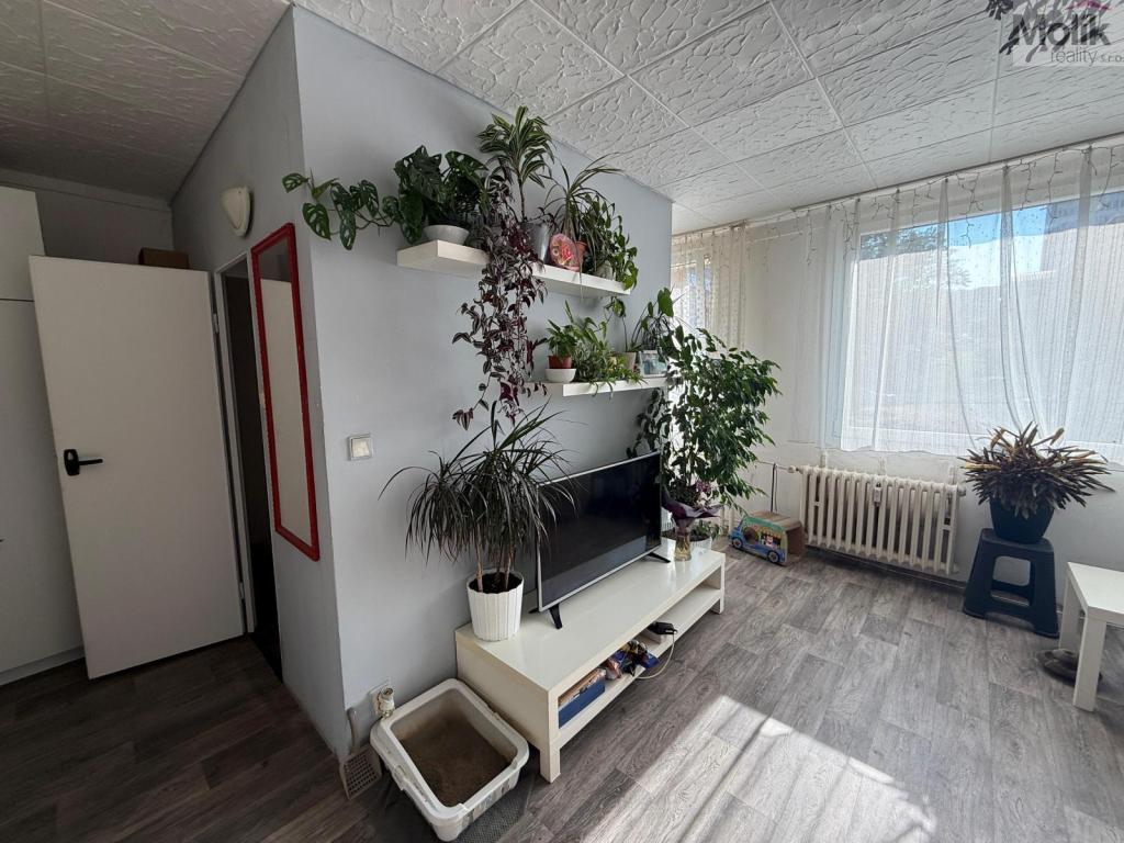 Pronájem bytu 1+1 26 m2, Most – náhled fotky 3