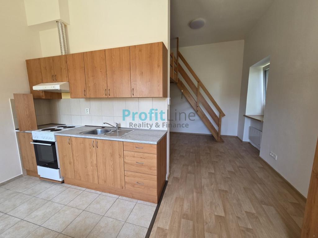 Pronájem bytu 1+kk 46 m2