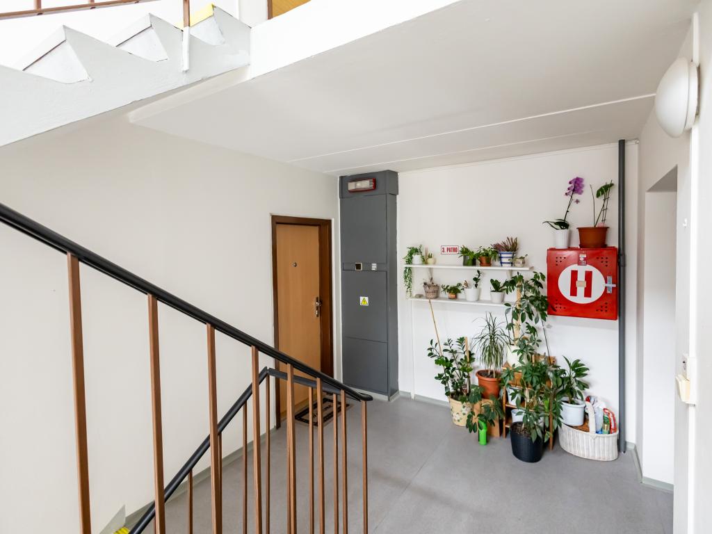 Pronájem bytu 3+kk 70 m2